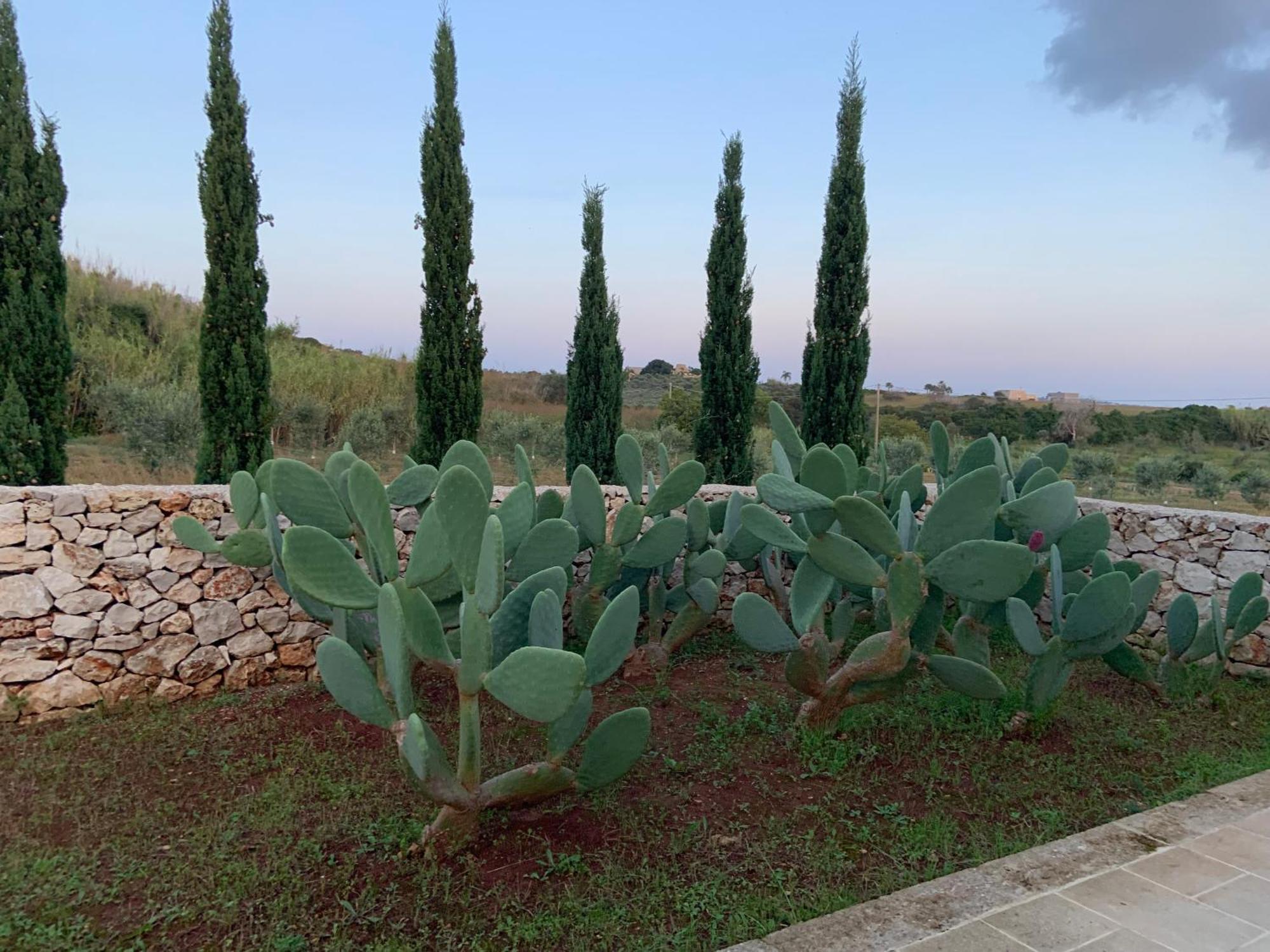 Relais Masseria Sant'antonio Country house Marina Di Pescoluse
